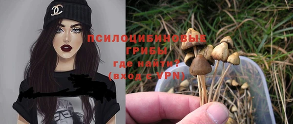 PSILOCYBIN Алексеевка