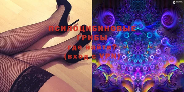 PSILOCYBIN Алзамай