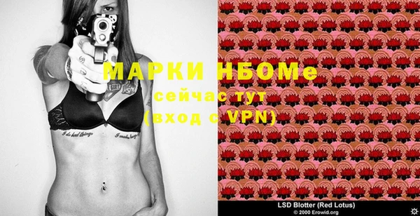 PSILOCYBIN Алзамай