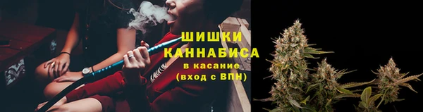 PSILOCYBIN Алексеевка