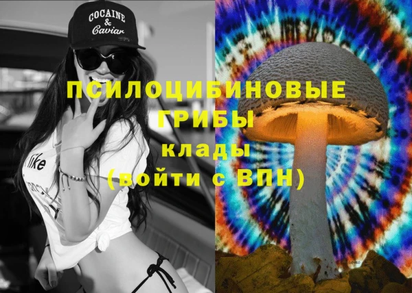 PSILOCYBIN Алексеевка