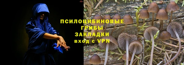 PSILOCYBIN Алзамай