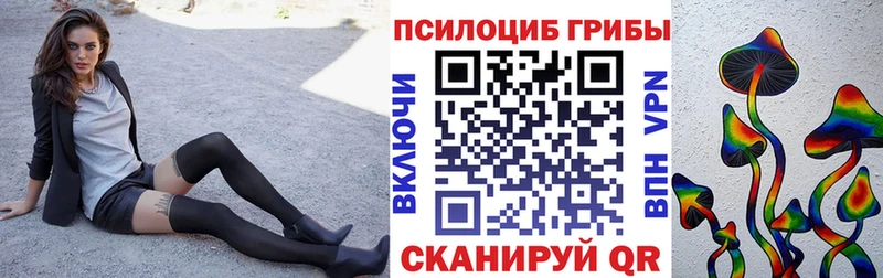 Галлюциногенные грибы Psilocybe купить наркотики цена ссылка на мегу онион Нижний Ломов